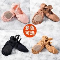 Professional belly dance shoes practice shoes beginner yoga shoes non-slip shock-absorbing cat claw soft sole dance soft ballet shoes