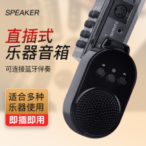 Electric blowpipe direct plug-in small speaker amplifier electric blowpipe special speaker L Bluetooth accompaniment U disk portable audio