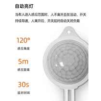 Tuodi human body induction switch i switch outdoor waterproof induction switch two-pin plug two-pin socket induction light control function
