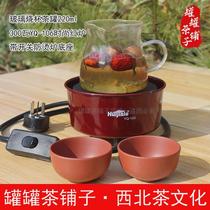 Northwest hometown pot tea household electric stove 300 watts fashionable electric stove tea maker tea pot iron can with switch