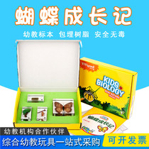 Butterfly Growth Remember High-end Specimen Kindergarten Science Inquiry Science Laboratory Teaching Aids Animal And Plant Specimen Seal