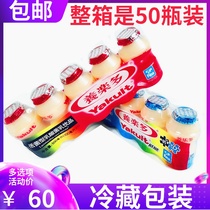 Yakult Active Lactic Acid bacteria drink Original low sugar 100ml*50 bottles 
