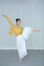  Elegant chiffon dance suit practice pants female adult loose wide-leg pants Chinese style dance rhyme classical dance dance clothing