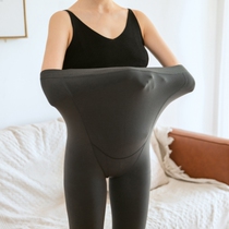 Spring and autumn thin velvet pregnant womens pants light leg socks increase oversized elastic thickening warm plus velvet pantyhose step leggings
