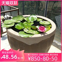 Pond Pool Large Sleeping Lotus Hydroponic Plant Four Seasons Water Raising Pond Lotus Potted Plants Sleeping Lotus Roots Block Fry 