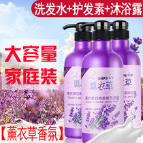 Lavender wash care package long lasting perfume shampoo shower gel conditioner male lady family