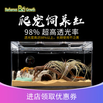 Climbing pet collection box lizard horned frog snake BAO WEN guard Palace hermit crab landscape cylinder crystal glass feeding box