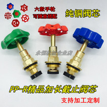 PPR new lengthened section pure copper DN20 6 points boutique copper valve core PE stop valve core fine RMB39  ups