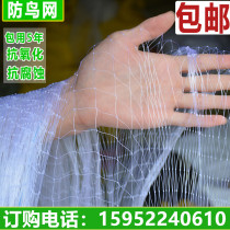 Orchard bird-proof net Grape greenhouse protection net Household fruit tree net Fish pond breeding net Bird-proof nylon net protective net