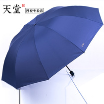 Paradise umbrella rainstorm special super large large male umbrella reinforcement three folding three-person black umbrella business umbrella