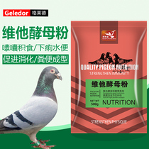 Brewers yeast powder dove with conditioning live bacteria Pigeon with live bacteria Probiotic Live Bacteria Pink Pigeon Drug Pigeon Health Sands