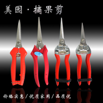 Scissors Thinning Flower Fruit Picking Fruit Cut Bonsai Cultivation Branches Gardening Garden Garden Flowers Branch Cut Flowers for Flower Flowers Scissors