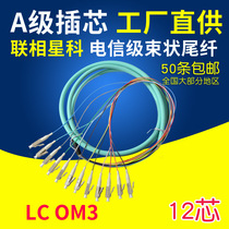 LC SC FC 12 Core beamline tail fiber OM3 10000 trillion Multimode fiber jumper ODF Fused Fiber disc Telecommunications Level Custom