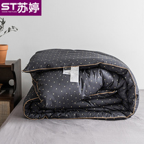 Cotton quilt winter thickened warm spring and autumn single student dormitory male dormitory winter double bed cotton quilt core