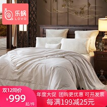Le snail home textile lovoqin luxury jacquard two-in-one silk quilt four seasons available double quilt quilt quilt