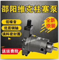 Shaoyang SY-10 25 32 40 40 80160 80160 250YCY PCY MCY SCY 14-1B EL BF