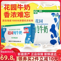 Fresh date Garden milk Pure milk Xinjiang original ecological ranch Room temperature 20 bags of Tetra Pak pillow pure milk