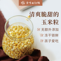 Eating the first phase of corn freeze-dried grain instant sweet vegetable salad corn baked baby food supplement snack 25g