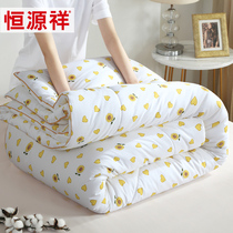 Hengyuanxiang pure cotton was Xinjiang cotton quilt winter quilt full cotton quilt core thickened warm cotton quilt air conditioning quilt