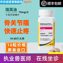 Pfizer Modi 75mg Carprofen Chewable Tablets Pet Dogs Analgesic Pain Injury Post Surgery