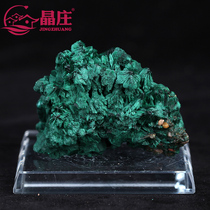 Natural needle-like malachite rock mineral specimen ornaments parozoic ore Crystal ore mineral label teaching green raw stone