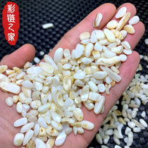 Natural Crystal gravel white shell for Buddha Manza seven precious stone storage plate treasure bottle multi-meat fish tank potted plant shop