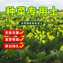 Nutrient soil balcony planting special soil wholesale nutrition fertilizer soil planting soil green vegetable soil special planting soil
