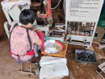 Automatic nest machine agaric mushroom fungus cultivation