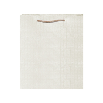 Gift Bag Gift Box Bag Fashion Carry Commercial High-end Imprint Bronzing Silver Custom Printable LOGO