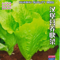 Hamburg nutrition fast vegetable seed autumn sowing green vegetable balcony Four Seasons potted farm characteristic vegetable seed seed seed