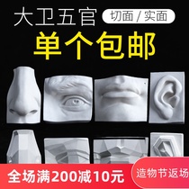 Single facial features cut surface solid plaster like geometry teaching aids art sketch sketch ornaments ear skull