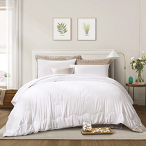 Fu Annas flower silk quilt Four Seasons thick warm child quilt spring and autumn quilt core mother quilt spring quilt