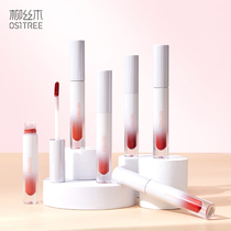 Willow Silk Wood Water feeling durable not easy to take off makeup no cup full color color mask silk mist Matte Lip Glaze