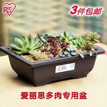 Alice potted pot pot pot pot resin plastic balcony potted green plant succulent bonsai long shallow pot
