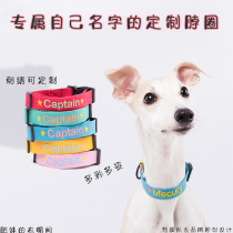 Dog embroidery collar adjustable pet collar customizable name number text Koji collar walking dog traction