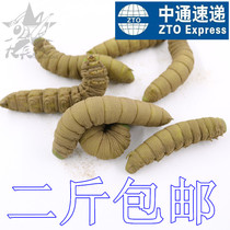 Hot sale specialty authentic bean worm into the soil bean green worm live Bean Bean Dan high protein 500g Zhongtong