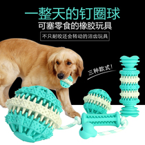  Dog molar toy Rubber ball Bite-resistant pet toy Golden retriever Labrador Small dog Large dog training ball