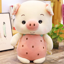 Pig doll doll Plush toy childrens pillow ragdoll super cute cute soothing girl gift ragdoll