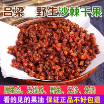 New Seabuckthorn dried fruit without sand and no processing Seabuckthorn fruit Luliang specialty containing sea buckthorn oil seabuckthorn tea 500g