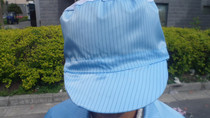 Pulsar dust-free big work hat female work hat anti-static dust hat women's hat small work man's hat