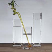 Extra large glass vase transparent square high large size floor-to-ceiling rich Bamboo Bamboo Bamboo Silver Willow flower arrangement