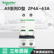 Schneider Air switch circuit breaker Acti9 Series IC65N 2PD63A Power type D 10A~2P40A