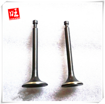  Gasoline engine GX160GX120GX200GX270GX390GX620GX670 Intake and exhaust valve combination