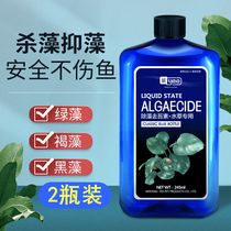 Removal of brown algae Algae Fish Tank Green Moss Clear Brown Algae Green Water Varnishes Cleaner fish pool to remove algae organisms dont hurt fish Kstars