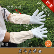 Sheepskin gloves Breathable beekeeping gloves Beekeeping tools Beewear hats protective gloves Sheepskin gloves beehives