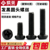 Black round head cross iron black carbon steel plate head screw computer chassis M2M2 5M3M4