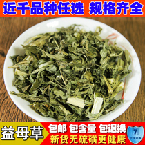 Natural wild Chinese herbal medicine new goods motherwort selection motherwort tea 500g