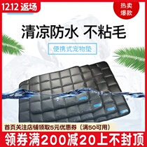 Bei Baojie smart light pet dog cat dog cat Four Seasons pet mat dog mat waterproof pad portable kennel