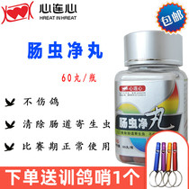  Heart-to-heart pigeon medicine intestinal worm net pills 60 capsules Body worm repellent roundworm pigeon worm net pigeon medicine Daquan pigeon equipment