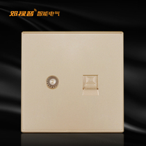 Dunlop Ming installed switch socket home wall TV computer cable TV network broadband socket panel Gold